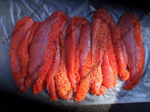 Fresh Salmon Roe